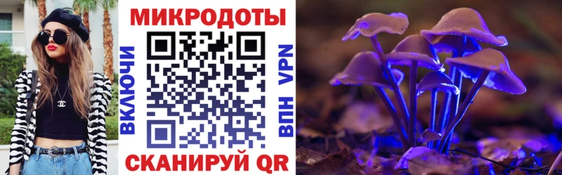 Псилоцибиновые грибы мицелий купить сайты Правдинск